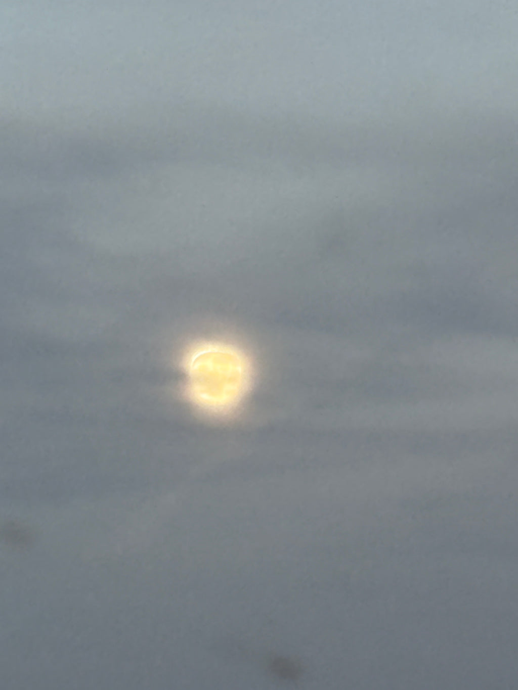 Mushroom lip balm holders