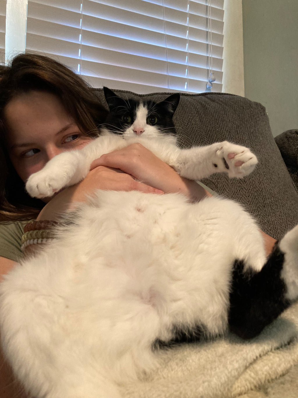 Mushroom lip balm holders